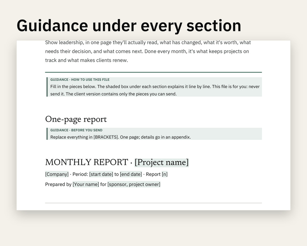 Preview 2 of Monthly Executive Report