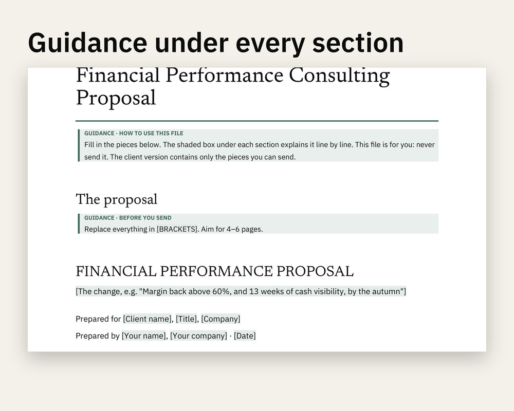 Preview 2 of Financial Performance Consulting Proposal