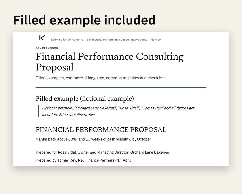 Preview 3 of Financial Performance Consulting Proposal